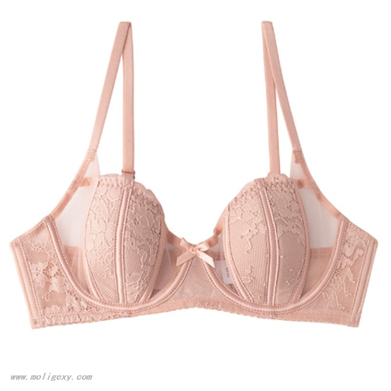 Bowknot Sexy Mesh Bra