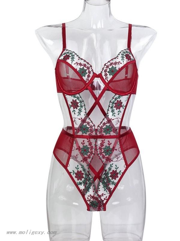 Net Embroidery Lingerie