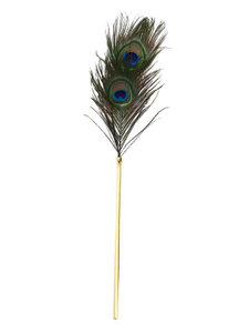 SM Peacock Feather Stick