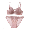 Hollow-out Sexy Bra Sets