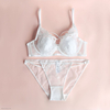 Hollow-out Sexy Bra Sets
