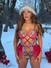Net Embroidery Lingerie
