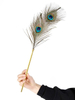 SM Peacock Feather Stick