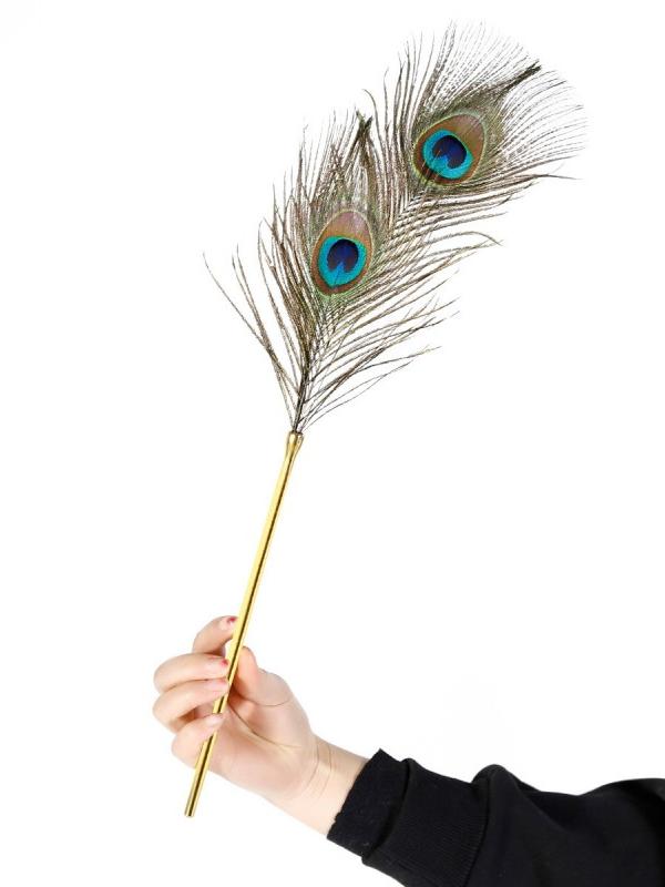 SM Peacock Feather Stick