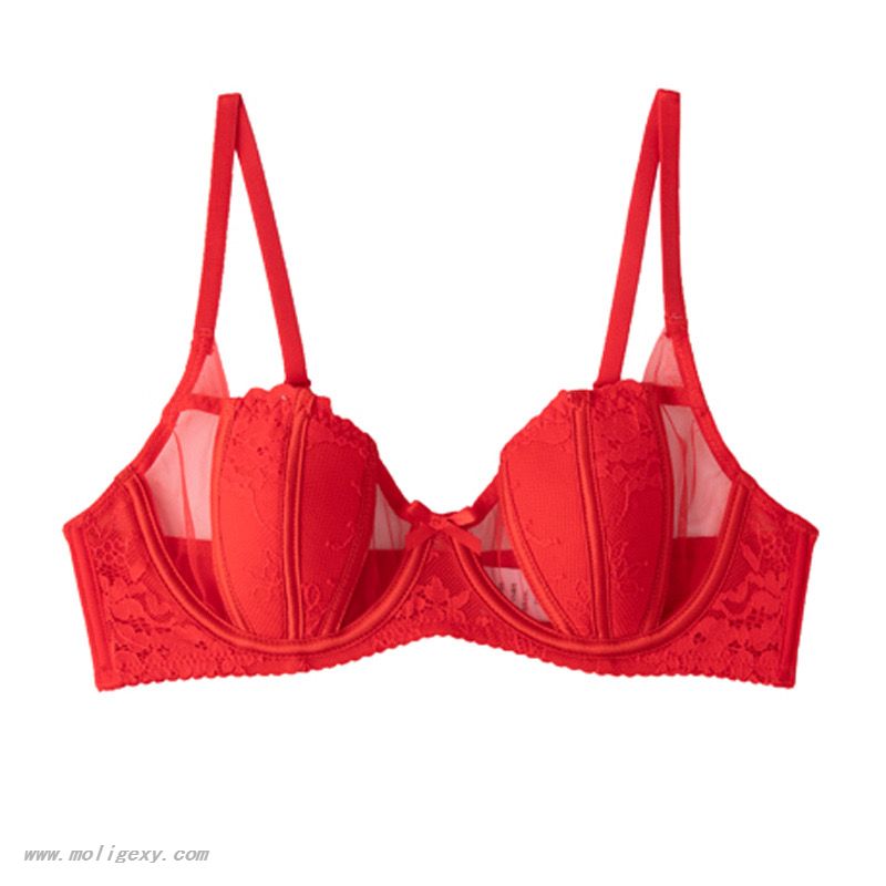 Bowknot Sexy Mesh Bra