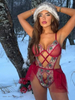 Net Embroidery Lingerie