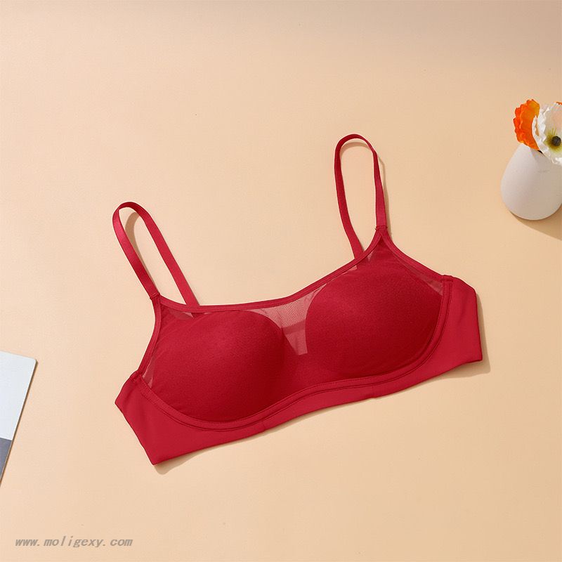 Mesh Breathable Bra