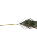 SM Peacock Feather Stick