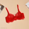 Mesh Lacy Bra