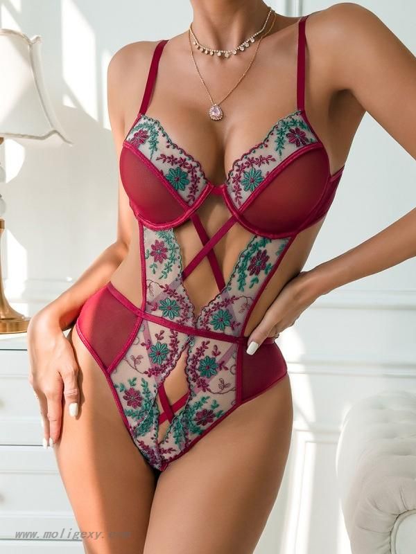 Net Embroidery Lingerie