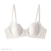 Bowknot Sexy Mesh Bra